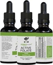 Integratore attivo dell'estratto liquido puro di Folate - L-metilfolato per una migliore assorbimento, salute del cervello, migliorare la funzione cellulare, il sistema immunitario di sostegno, il complesso B solubile dell'acqua, 1oz - da Ziggy Health