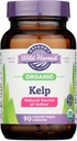OREGONS Vendemmia Selvatica Kelp Organica, 90 CT
