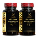 L-LYSINE 500 - L-Lysine 500mg, per la funzione immunitaria sana, supporta la sintesi del collagene, senza soia, senza glutine, non OGM, supplemento di lisina Supporta il labbro sano e tessuto orale - 2 bottiglie 200 Contenitori
