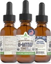 RawGuru L-metilfolato 15 mg + Vitamina B12 - Biologico Vegan Methylated B12 con Trace Minerals - Nano-Processed & Enhanced Liquid Formula - 300 Servings Vegan Drops per 30 ml, Confezione da 1