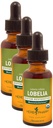 Estratto di liquido di Lobelia Organico Certificato di Herb Pharm per il supporto del sistema muscoloscheletrico - 1 oncia (DLOBEL01) (Pacchetto di 3)