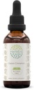 Ceylon Cinnamon B60 Alcohol-Free Estratto di erbe Tintura, Concentrated Liquid Drops Cinnamon naturale (Cinnamomum Verum) (2 fl oz)