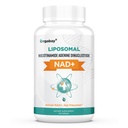 Orgabay Liposomal NAD+ Supplemento 500 mg, ad alto assorbimento, Boost NAD+ con TMG 250 mg, NAD effettivo più efficiente di Nicotinamide Riboside, Support Cellular Energy, Affinamento sano | 60 Softgels