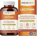 Lecitina-240 Softgels- Supporta la salute del cervello
