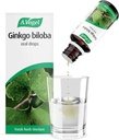 A. Vogel Ginkgo Biloba Gocce