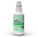 Clorofilla liquida del sole della natura - Supporto per l'immunità, Detox & Cleanse, Gocce liquide del clorofilla con olio di spearmint, Boost di energia naturale, Deodorante interno - 16 Fl Oz