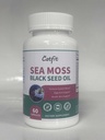 Mare Moss
