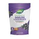 Lozenges Immune di Sambucus, Vitamina C ad alta potenza, Elderberry, 24 Lozenges Tropical Flavored (Packaging May Vary)