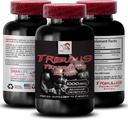 Natural Stamina Boost - TRIBULUS TERRESTRIS Extract - Supporto per la resistenza e l'attività, Formula di ottimizzazione dell'energia, Potenza basata sulle piante, Miscela per le prestazioni del corpo, Recupero attivo, Flusso energetico 1Bot 90Tabs