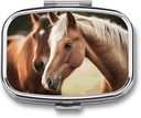 Scatola di pedaggio 2 scomparti di medicina caso della pedana adorabile cavallo stampato portatile Pill Box organizzatore di viaggio della pedana di viaggio per la medicina quotidiana della tasca Scatola di olio di vitamina Scatola di pesce scatola di supplemento