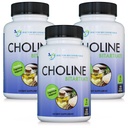 DOCTOR RECOMMENDED SUPPLEMENTS Premium Choline - 500 mg - 120 capsule vegetali Supporta la salute cognitiva, la memoria e altro - 3 Pack