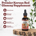 Ginseng coreano Panax Ginseng con Ginsenoside naturali - Liquido rapido assorbente - Supporta energia sana, vitalità, umore e altro ancora