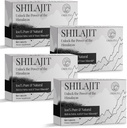 30.000 MG Shilajit compresse, 100% Shilajit Pure, Himalayan Organic, Shilajit per uomini e donne ricchi di acido Fulvic & 85+ Trace Minerals, Shilajit Supplemento per Energy & Immune System, 240 Conte