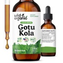 Wild & Organic Gotu Kola Herb Tincture - Supporto per il cervello - Gotu Kola Liquid Extract Drops - Vegan, Sugar & Alcohol-Free Centella Asiatica Supplement - 2 fl oz