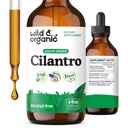 Tintura di cilantro selvatico e organico - Gocce di disintossicazione a base di erbe con Estratto di Cilantro - Supplemento di foglie di Coriander liquido - Vegan, Gocce senza zucchero e alcol - 4 fl oz