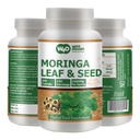 Moringa Oleifera Leaf and Seed Powder (80:20) Ratio 300 Pills(Tablets), 150 Servings, 1000 mg. Confezione di 1.