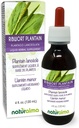 Naturalma Ribwort Plantain o Narrowleaft Plantain (Plantago lanceolata) Leaf Alcohol-Free Tincture - 4 fl oz Liquid Extract in Drops - Herbal Supplement - Vegan