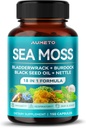 Premium Sea Moss Supplement con olio di semi neri, Ashwagandha, Bladderwrack, Nettle- Advanced 18-in-1 Formula per l'immunità Boosting, Mineral-Rich - Made in the USA (150 Count (Pack of 1))