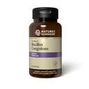 Nutribiome Bacillus Coagulans Probiotics, 90 Capsule | 3 miliardi di CFU di Bacillus Coagulans Probiotici aiuta a difendere contro l'insorgenza digestiva e la diarrea occasionale, gas e Bloating