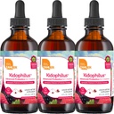 Zahler - Kidophilus Liquid Drops Probiotics for Kids (4 Fl Oz) Certified Kosher, per la digestione sana e supporto immunitario - Fruit Punch Flavored Children's Probiotic Drops Supplement (3 Pack)