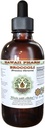 Broccoli Alcohol-Free Liquid Extract, Broccoli Organici (Brassica Oleracea) Seed Glycerite Hawaii Pharm Natural Herbal Supplement 2 oz
