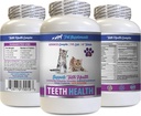 Trattamenti di gatto cattivo respiro - CAT Teeth Health - Advanced Mouth Health Complex - Boost immunitario - biotina per gatti - 1 bottiglia (60 compresse)