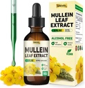 Gocce di Mullein per polmoni Supplemento: Foglia di Mullein Organica 30:1 Tintura di Estratto con Chlorophyll - Supporto di supplemento di erbe Pulisci & Funzione respiratoria - Non-GMO, Vegan - 2 Fl Oz