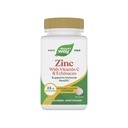 Lozenges di zinco di modo naturale con vitamina C & Echinacea, integratori di zinco per gli uomini e le donne, supporto immunitario*, aroma di bacca selvatica, 60 Lozenges (varia di maggio di imballaggio)