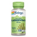 SOLARAY Bladderwrack Capsule 580 mg - Nutriente-Packed Seaweed Supplement, Alta in Iodio - Erba bilanciata - Vegan, Non OGM, Garanzia di 60 giorni, Lab verificato - 100 Serve, 100 VegCaps