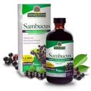 Risposta della natura Sambucus Elder Berry Extract Syrup 8 Ounce ( 3 Pack ) | Supporto immunitario giornaliero | Confezionato con antiossidanti | Family Friendly | Flue Season Defender