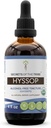 Hyssop USDA Organic | Estratto privo di alcol, Gocce di erbe ad alta potenza | Realizzato in Issop Organico 100% Certificata (Hyssopus officinalis) Erbe secca (4 oz)