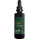 Global Healing Center - Organic Tulsi (Holy Basil Leaf Extract) Vegan Liquid Supplement Drops (Organic Basil) - Biodisponibile Herb per Normal Stress Response, Natural Energy & Immune Support