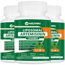 Liposomal Artemisinin Supplemento 1000mg, Estratto di assenzio dolce con fitosico di Quercetina 200mg, Assorbimento massimo per Antiossidante 180 capsule