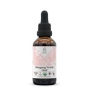 Foglia di ortica di stazionamento USDA Organic Alcohol-Free Extract | Integratore alimentare, Tintura ad alta potenza | Bottiglia di cucitura biologica certificata naturale (Urtica Dioica) Foglia secca (2 oz)