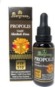 Tintura liquida di Alcol-Free di Propolis Evergreen 30ml PTF1170 (contiene 1170 Propolis Flavonoid) Made in Nuova Zelanda
