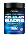 VITAMISAN Celulas Madres 180 Capsule - Stem Cell Blue Green Algae - Non OGM -Gluten Free AFA -Celula Madre Supplement - Lion’s Mane Beta Glucan Supports Healthy Aging & Promotes Immune Spirulina.