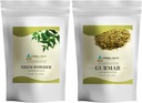HERBAL HILLS Neem Leaf Powder e Gurmar Polvere Gymnema Sylvestre Pack di 2 Combo