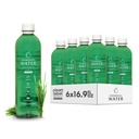 Acqua clorofilla – Clorofilla liquido 6-Pack (16.9oz) | Bevanda di bellezza per la pelle brillante, Anti-invecchiamento & Ossigeno Boost | Vitamine A, B12, C, D | Vitamina Water | Clean Label | Supporto di idratazione