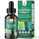 Gocce di drenaggio linfatico organico certificate - Herbal Lymphatic Cleanse and Immune Support Supplemento con Echinacea Goldenseal & Red Clover Extract - Vegan Non OGM Alcohol and Sugar Free - 30 Serve