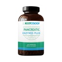 Rootcology by Dr. Izabella Wentz | Pancreatic Enzymes Plus | Lipasi rivestita enterica, Protease & Amylase Blend with Bromelain | 90 Capsule