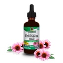 La risposta della natura Echinacea Extract | Supporta un sistema immunitario sano | Vegan, senza glutine, senza alcool, non OGM & Kosher Certificato | 2oz