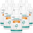 Orgabay Liposomal NAD+ Supplemento 500 mg, ad alto assorbimento, Boost NAD+ con TMG 250 mg, reale NAD Plus Più efficiente di Nicotinamide Riboside, supporto energia cellulare, invecchiamento sano | 480 Softgels