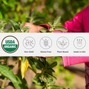 Polvere organica di Ashwagandha, non OGM, Fair-Trade, Vegan, Gluten Free, Singola origine, Cresciuto in Oregon supplemento ayurvedico ayurvedico in vaso risaltabile