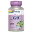 SOLARAY Olive 250mg - Olive Leaf Extract Capsule con 22% Oleuropein, Plus Lemon Balm - Polyphenols Supplemento per il supporto benessere - Vegan, 60-Day Guarantee, Lab Verified - 120 Serve, 120 VegCaps