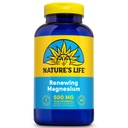 Natures Life Renewing Magnesium 500 mg - Citrato, Malato, Ossido Plus Vitamina B-6 - Supporto Muscoli e Nervi - Lab verificato (250 Serve, 250 VegCaps)
