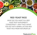 NaturesPlus Herbal Actives Riso di lievito rosso - 120 capsule vegetariane, Confezione da 2 - Supplemento di erbe di potenza massima - Gluten Free - 240 Total Servings