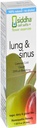 Siddha Remedies Lung & Sinus Spray for Sinus Relief, Congestion Relief, Cough Suppressant, Cold Medicine, Runny Nose | Allergy Medicine Relief | Non OGM w/Cell Salts, No Alcohol, Sugar