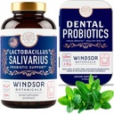 WINDSOR BOTANICALs Lactobacillus Salivarius Probiotici e dentali Salute orale Bundle