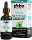 Clorofilla Liquid Drops Corpo Detox - Vegan Liquid Chlorophyll Drops Odor Cleanse Supplement, Energy & Immune Support, Deodorante interno, Body Deodorizing Supplement - Natural Deodorant Water 2 oz