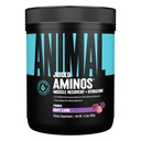 Animali Aminoacidi Juiced - BCAA Polvere EAA Matrix Plus Idratazione con elettroliti e sale marino in qualsiasi momento Recupero e Miglioramento delle prestazioni, Uva Flavor, 30 Serve